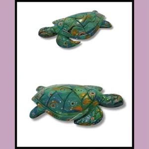 Tortue Éveil des Couleurs