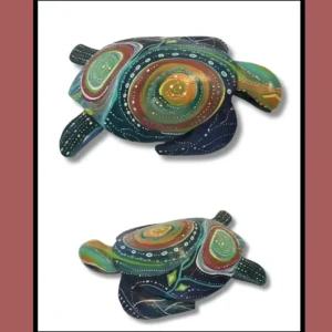 Tortue Galaxie