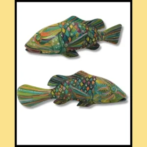 Poisson Kaléïdoscope