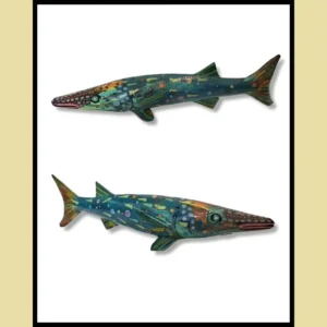 Barracuda Chromatique